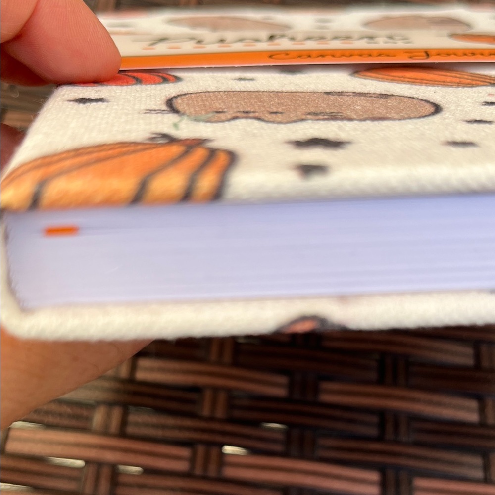Pusheen Box Exclusive White and Orange Canvas Journal - Picture 6 of 6